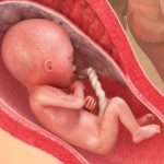 21_raskausviikko_980x549