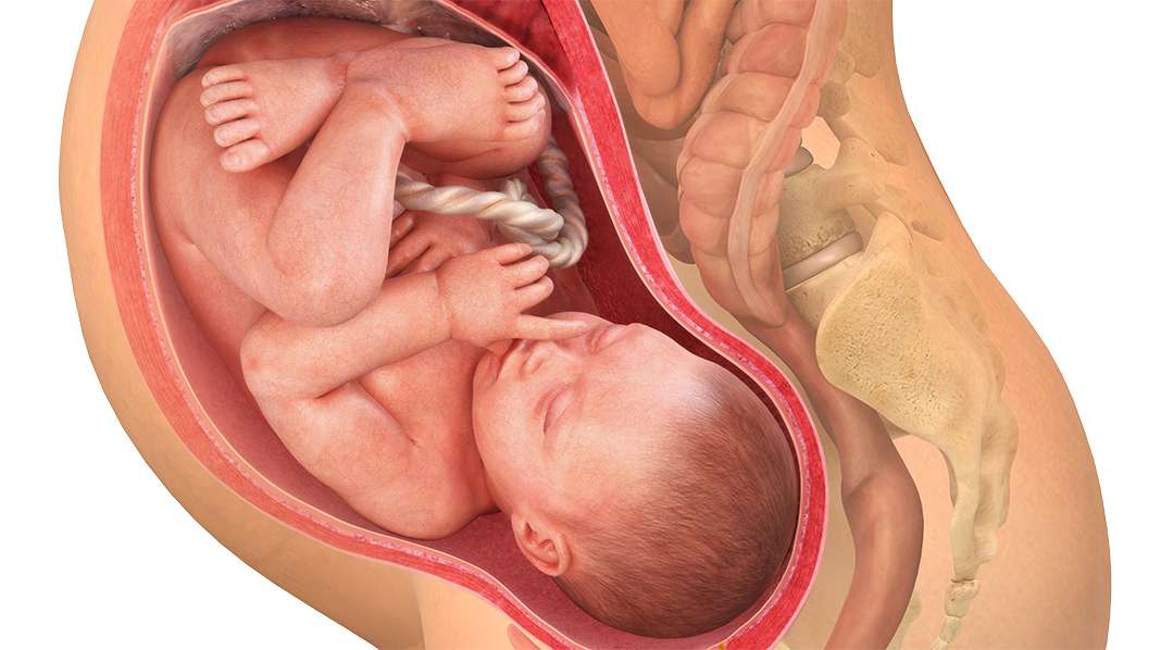 42. raskausviikko – Synnytys voi käynnistyä milloin tahansa!