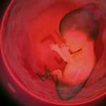 506cbf05aea343bcb6a0ca5c54ff755a-1