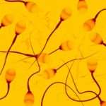 f42b701a43a245f4842826881d278ab3-1