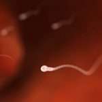 ecd394972c29493e9a0ac497652ff848-1