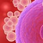 munasoluja_syntyy_668-3-3