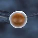 0e2a91fcad69441292123a5ba0d5a5cc-1