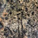 3a8f10f217784443a6b9e50ec2454fca-1