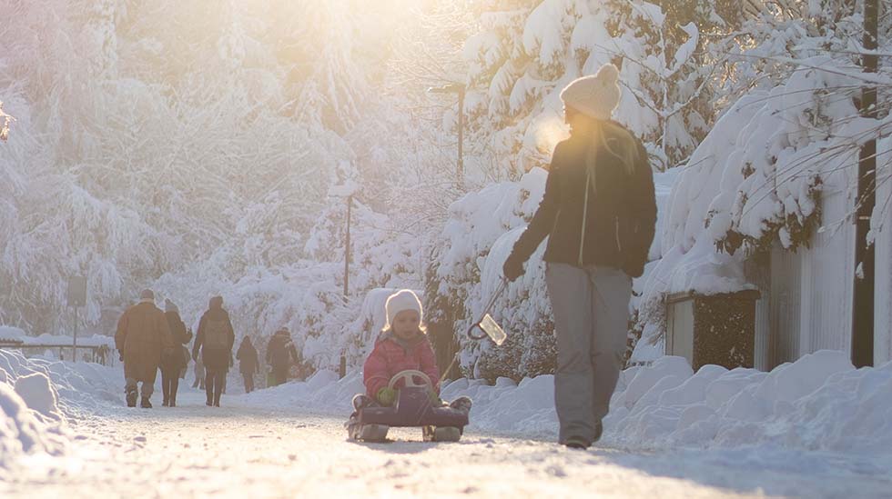 Anna välittämisen ja rakastamisen näkyä teoissasi ja kuulua puheessasi. (Kuva: Kajetan Sumila/Unsplash).