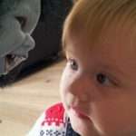 kathla_ingress420x236-2-1