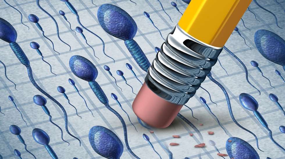 Miehen heikentyneen hedelmällisyyden taustalla on usein pienentynyt siittiöiden määrä ja niiden alentunut liikkuvuus. Siemennesteen hapetusstressi ja siittiöiden DNA-vauriot voivat heikentää hedelmöityskykyä. Elintapojen muutos voi parantaa miehen hedelmällisyyttä. Kuva. iStock