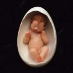 allen_vauva_kuoressa-2-2