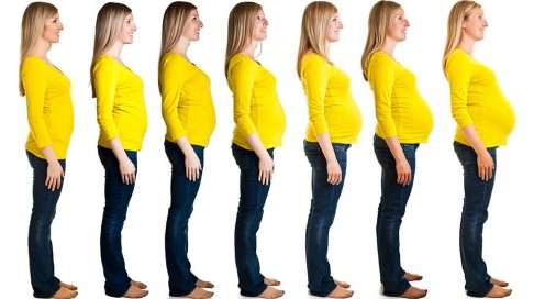 HCG-tasot kasvavat raskauden edetessä. (Kuva: iStock)