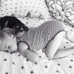 dec5a9dc620948afbe8bd129ddb95d96-1