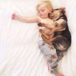 ef5c6adca3aa4c399bfb508b9e7b0011-1