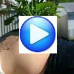 3d151c8f0ac24fd5b35d919660a4ae96-1