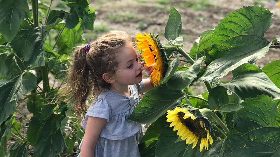 Tutkimustenkin mukaan kasvien kasvattaminen ja terapeuttinen puutarhanhoito edistävät yleisesti lasten keskittymiskykyä, sosiaalisia taitoja ja itsetuntemusta. (Kuva: Robert Fischetto/Unslpash)