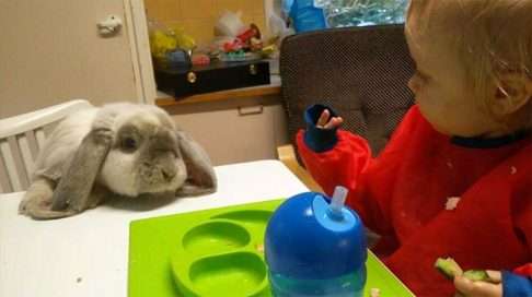 "Oisko mulle mitään?" Osku arvostaa sotkuista sormiruokailua.