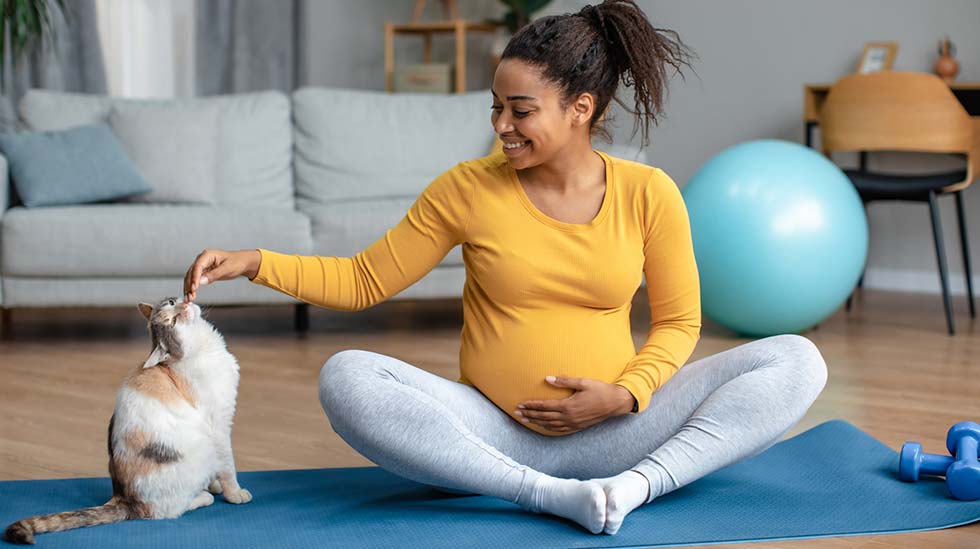 Kissan kanssa on raskauden aikana turvallista, kunhan pitää mielessä muutamat hyvät neuvot. (Kuva: iStock)