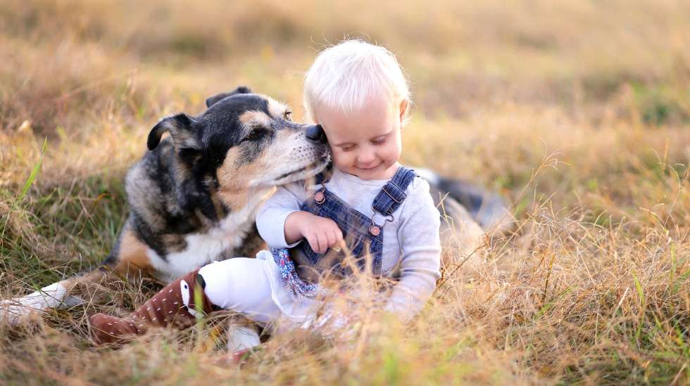 Yhteiselossa lemmikin kanssa on hyvät puolensa, mutta monet äidit myös tunnustavat, että se on ajoittain melko rasittavaa. Kuva: iStock