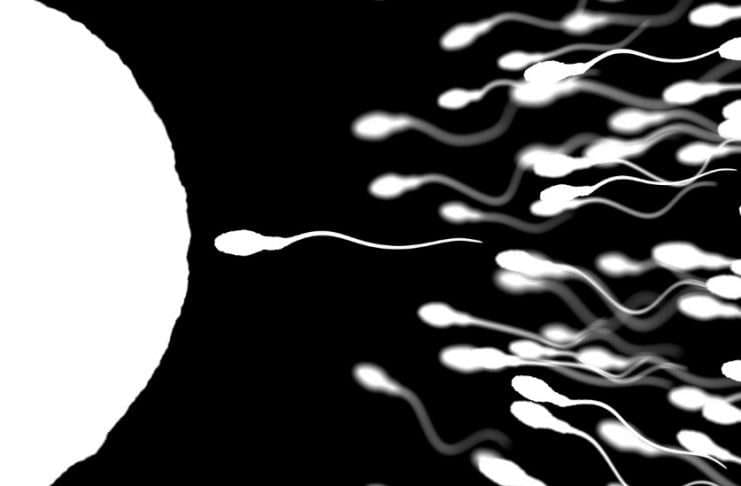 parille seuraa seksi kauppa parille seuraa seksi kauppa