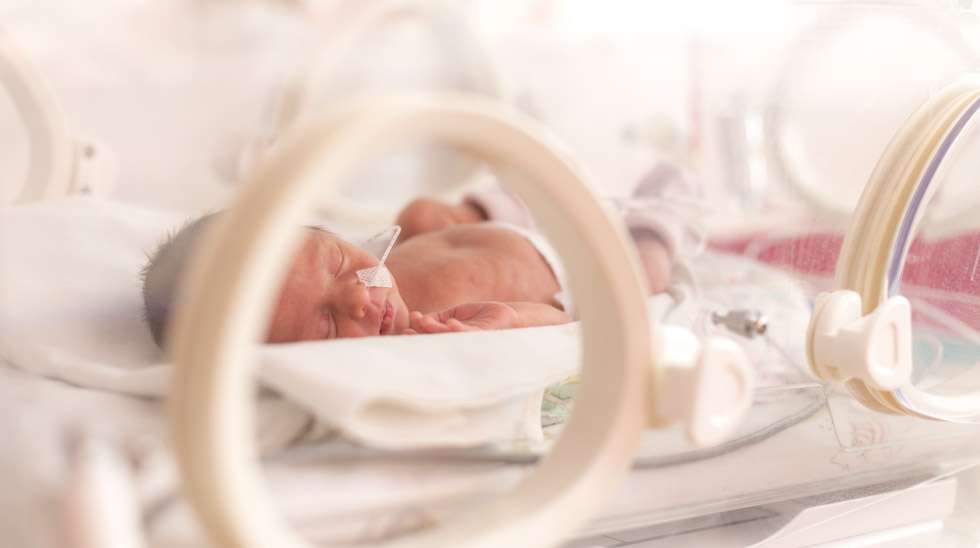 Erityisesti pikkukeskosilla on useita terveysongelmia syntymänsä jälkeen, mutta ongelmat eivät yleensä seuraa aikuisikään. Kuva: iStock