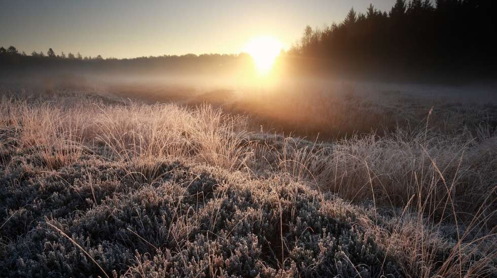 Odottamani vauvat syntyvät keskosina ja tulevat tarvitsemaan tehohoitoa ensimmäisten viikkojen ajan. Kuva: iStock