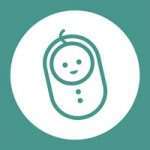 bv_icon