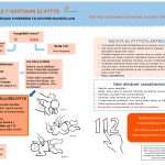 esite (1)