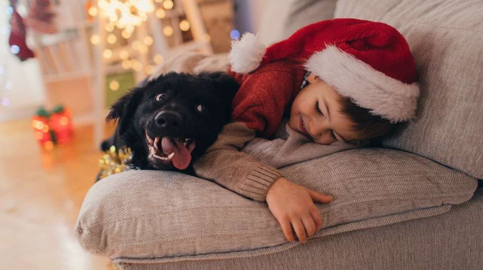  Lapsen ei voi olettaa tietävän, mitkä herkut voivat aiheuttaa vaaratilanteen. (Kuva: iStock)