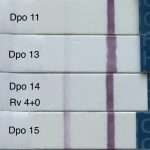 35F71167-8959-4D0E-A956-A08F694117DB