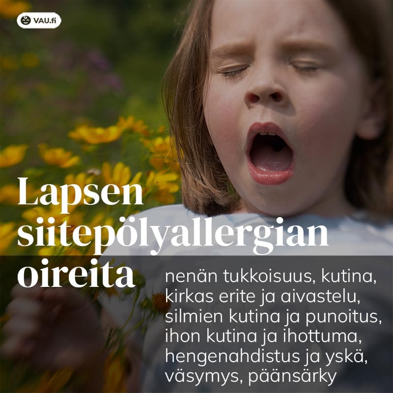 Lapsen siitepölyallergian oireita