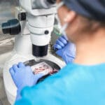 ovumia-alkiodiagnostiikka