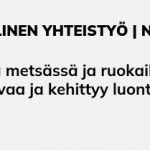 Norlandia Päiväkodit