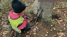 Metsä rauhoittaa vilkkaimmatkin lapset: ”Metsässä ei koskaan kiusata” Lapsi puun juurella